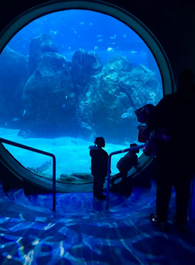 This image shows an underwater tunnel at Adventure Aquarium, where visitors can walk surrounded by colorful fish, sharks, and marine life.