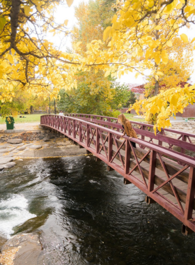 This image shows the vibrant and picturesque Reno Riverwalk District, featuring shops, cafes, and art galleries along the beautiful Truckee River. It captures the lively atmosphere of the area, perfect for outdoor strolls, dining, and cultural experiences.