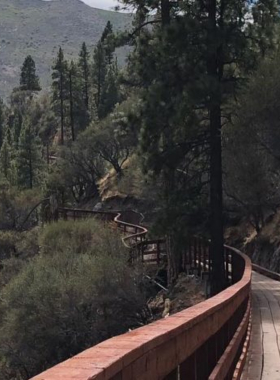 This image shows a section of the Tahoe-Pyramid Trail, a scenic hiking path stretching from Lake Tahoe to Pyramid Lake. The trail offers beautiful views of the Truckee River and surrounding landscapes, attracting outdoor enthusiasts for activities like hiking, biking, and photography.