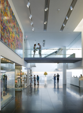 This image shows the grand exterior of the Virginia Museum of Fine Arts, showcasing its impressive neoclassical architecture. The museum is a cultural landmark in Richmond, Virginia, featuring diverse collections of art from various regions and time periods.