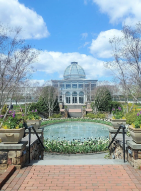  This image shows a beautiful section of the Lewis Ginter Botanical Garden, featuring a variety of vibrant flowers and lush greenery. The garden is a peaceful space for visitors to enjoy nature, explore themed gardens, and relax among the plants.