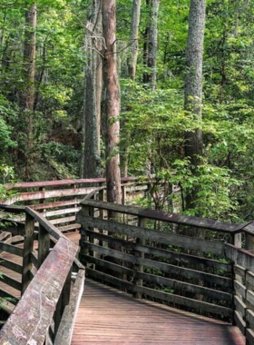 This image shows that First Landing State Park offers beautiful nature trails, wildlife sightings, and serene beaches where visitors can hike, bike, or enjoy peaceful walks through the park’s forests and wetlands.