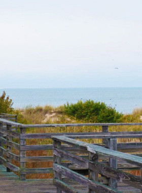 This image shows that False Cape State Park offers a secluded escape with pristine beaches, hiking trails, and abundant wildlife, providing a peaceful retreat for nature lovers seeking an off-the-beaten-path experience.