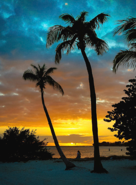 This image shows Smathers Beach in Key West, a large and peaceful beach perfect for swimming, sunbathing, and relaxing. The clear water and sandy shore make it a popular destination for beach lovers.