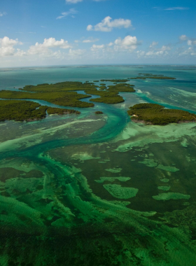  This image shows a peaceful scene at the Key West National Wildlife Refuge, where visitors can experience the area’s diverse marine life and unspoiled nature. It’s a haven for wildlife enthusiasts and nature lovers.