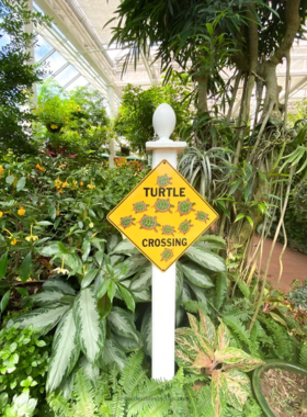  This image shows the Key West Butterfly & Nature Conservatory, a lush indoor space where visitors can observe hundreds of butterflies in a tropical setting, offering an educational and peaceful experience.