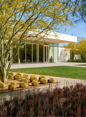 This image shows various cactus species at Moorten Botanical Garden, with a diverse collection of desert plants and succulents, offering a peaceful exploration of desert flora.
