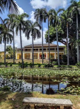 This image shows the historic Bonnet House surrounded by beautiful gardens, with pathways lined with tropical plants and flowers, giving a glimpse into Fort Lauderdale's rich history and natural beauty.