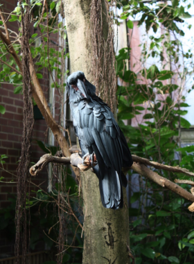  "This image shows a vibrant habitat within the National Aviary, with exotic birds perched and flying among lush greenery. The aviary offers an immersive experience, showcasing diverse bird species and naturalistic environments for birdwatching and education."
