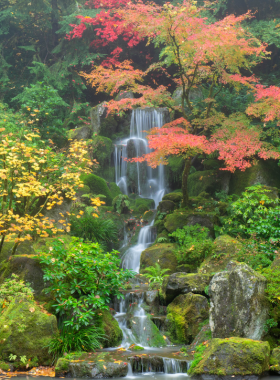  This image shows the peaceful Portland Japanese Garden, showcasing traditional Japanese landscaping with koi ponds, lush plants, and serene architecture. It’s a perfect spot for visitors to enjoy nature and tranquility.