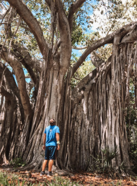 This image shows the calm lake at Hugh Taylor Birch State Park, where people paddle kayaks and enjoy the serene natural setting, reflecting Fort Lauderdale's dedication to nature and outdoor activities.