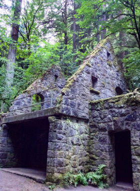  This image shows hikers walking along one of the many trails in Forest Park, Portland. The park is a vast urban forest with towering trees and diverse wildlife, offering visitors the chance to connect with nature.