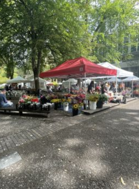 This image shows the Portland Saturday Market, bustling with people shopping for handmade crafts, fresh produce, and enjoying local food trucks. It’s a vibrant community event showcasing the city’s creativity and local culture.