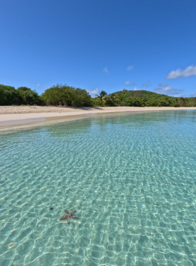 This image shows the peaceful beaches of Culebrita Island, with soft sands and gentle waves. The serene environment, surrounded by lush greenery and tidal pools, provides a quiet escape and invites visitors to experience Puerto Rico’s natural beauty.