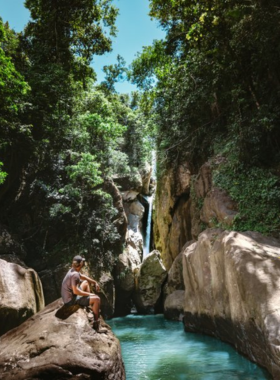  This image shows a lush hiking trail within El Yunque National Forest, surrounded by dense tropical foliage and a waterfall in the background. The vibrant greenery highlights the rainforest’s biodiversity and peaceful, natural ambiance for visitors.