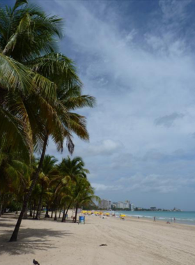 This image shows the underwater beauty of Isla Verde Beach, with clear waters and a variety of tropical fish. The calm, shallow sea allows snorkelers to explore the colorful marine life close to shore in Puerto Rico’s urban beach.