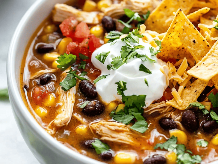 The Lazy Cook’s Guide to Flavorful Slow Cooker Chicken Tortilla Soup