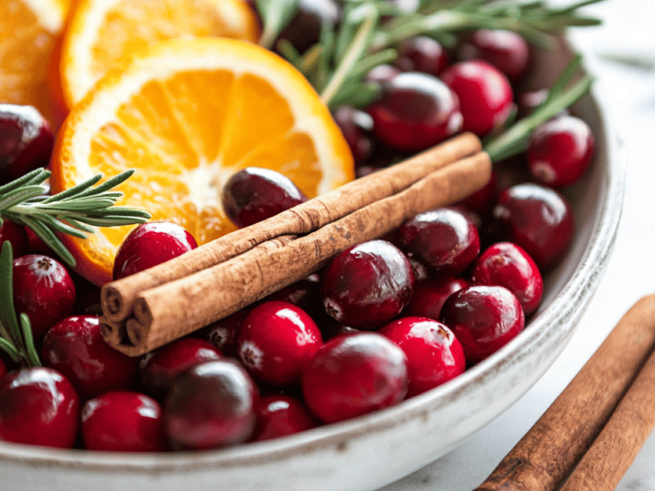Cranberry Cinnamon Simmering Potpourri: A Cozy Fall Escape