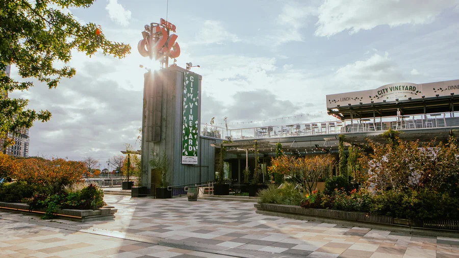 City Vineyard